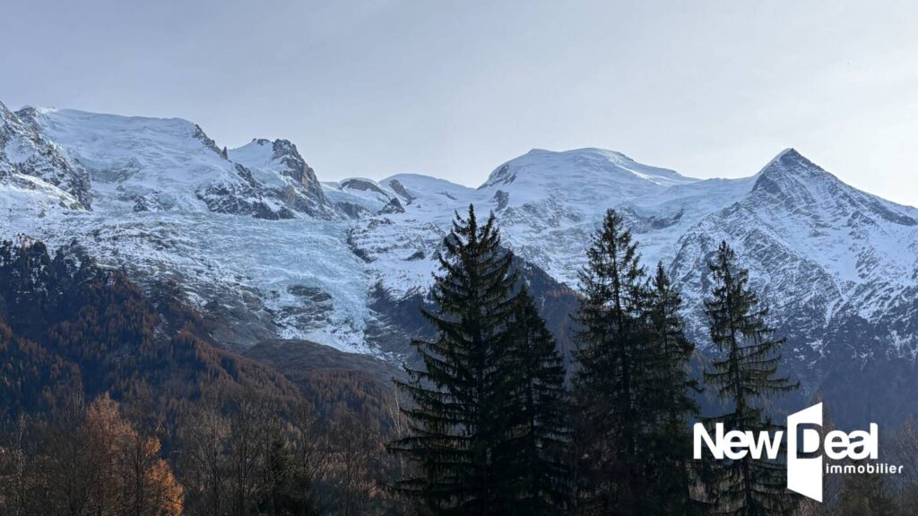 APPARTEMENT 2 Pièces – PARKING COUVERT PRIVATIF – CAVE – TERRASSE COUVERTE Plein SUD – 2 pièces – 1 chambre – 44 m²