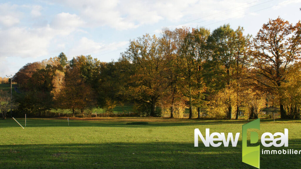 Terrain constructible – NR pièces – NR chambres – 3169 m²