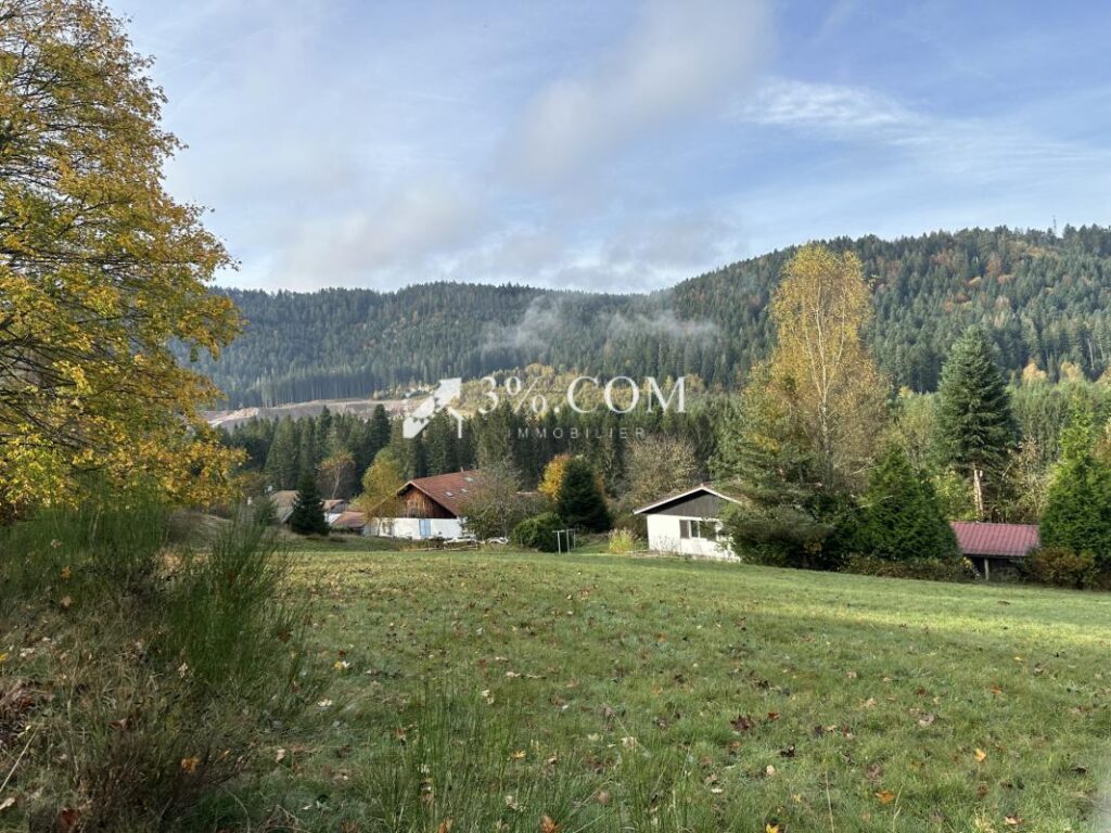 Terrain à bâtir 1800 m2 secteur Gerardmer – NR pièces – NR chambres – 1800 m²