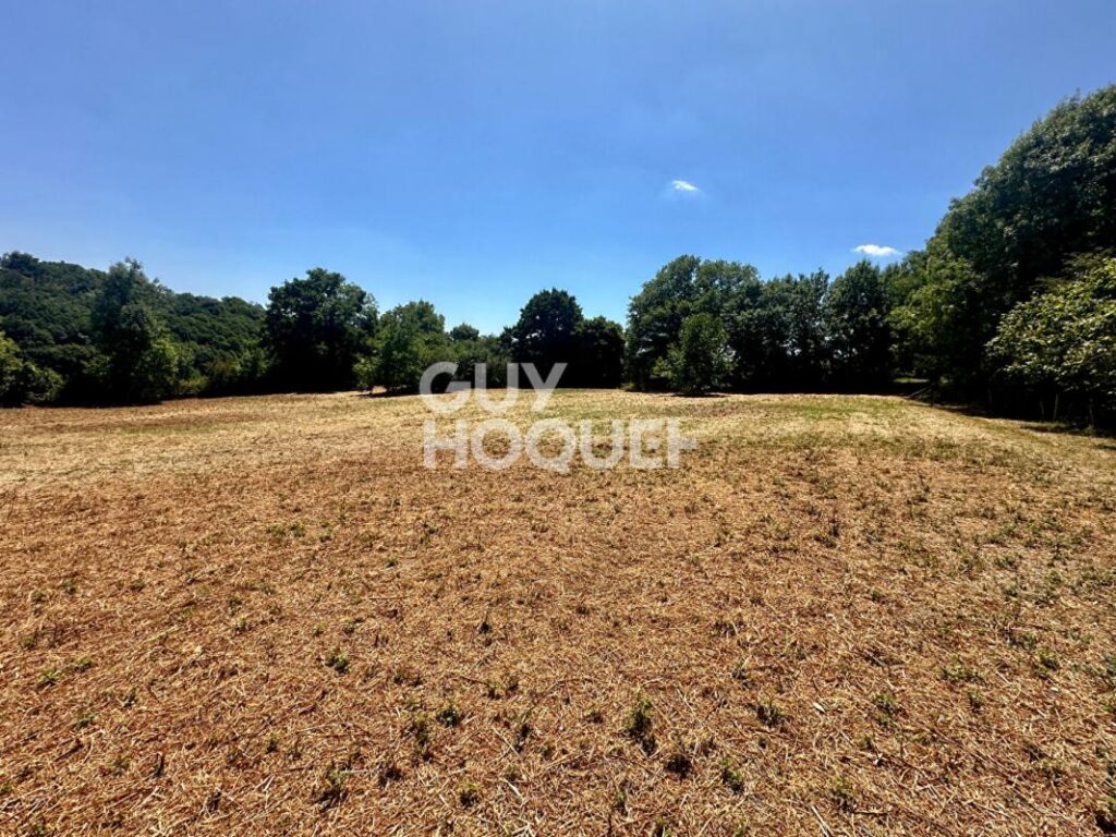 Terrain Mervent 3795 m2 – NR pièces – NR chambres – 3795 m²