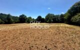 Terrain Mervent 3795 m2 – NR pièces – NR chambres – 3795 m²