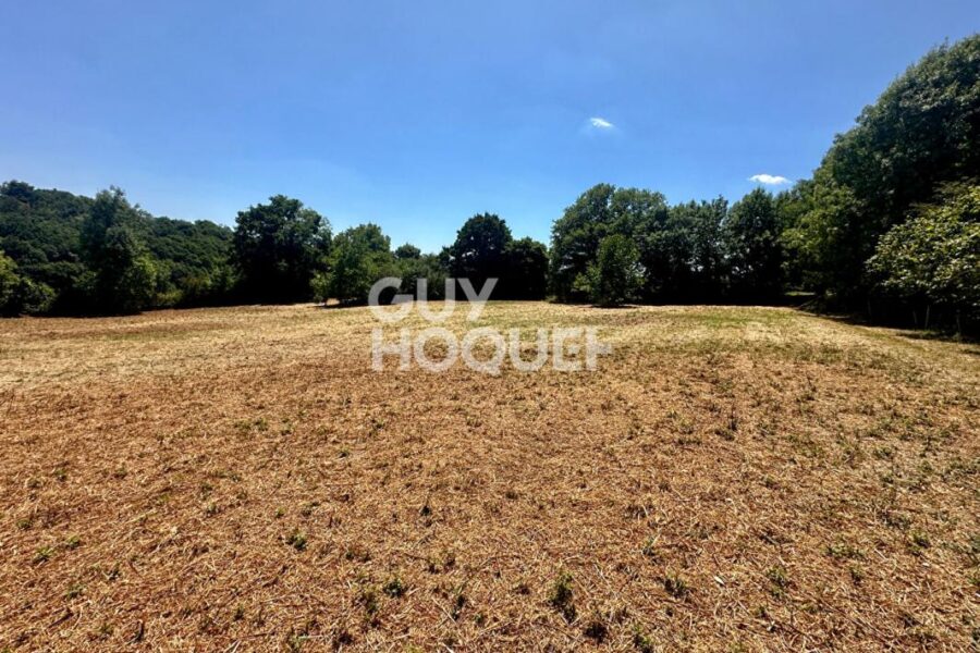Terrain à vendre à Mervent
