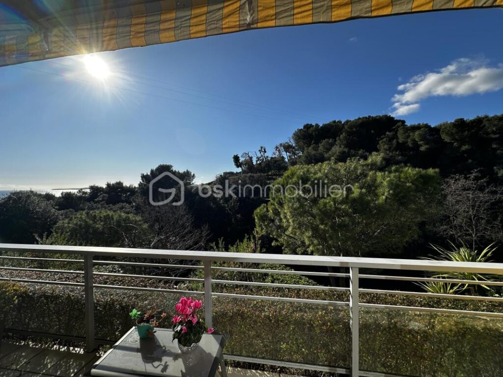 GRAND STUDIO AVEC COIN NUIT + PARKING / VUE MER ET FORET – 1 pièce – 1 chambre – 40 m²