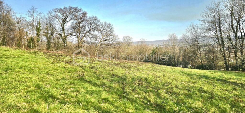 Terrain – NR pièces – NR chambres – 4904 m²