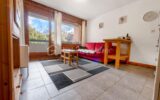 74310 – APPARTEMENT T2 – BALCON VUE MONT–BLANC – CENTRE VILLAGE – BONNE RENTABILITÉ LOCATIVE – 2 pièces – 1 chambre – 28 m²