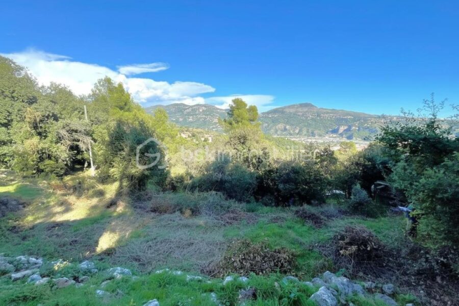 Terrain à vendre à Carros
