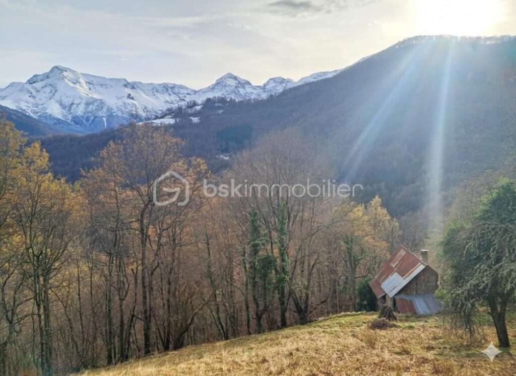 L’authenticité et le rêve: la grange de Jean-Pierre – Un hectare de nature en montagne – 2 pièces – 1 chambre – 30 m²