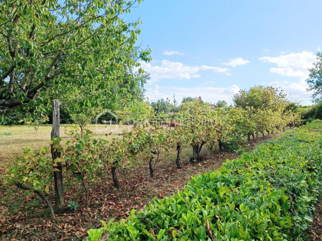 Magnifique Maison avec Vue sur Condom : Garage, Piscine et Jacuzzi – 6 pièces – 4 chambres – 190 m²