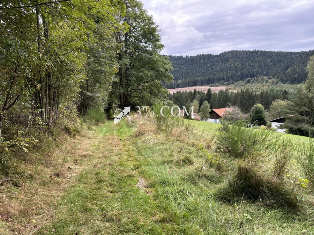 Terrain à bâtir 1800 m2 secteur Gerardmer – NR pièces – NR chambres – 1800 m²