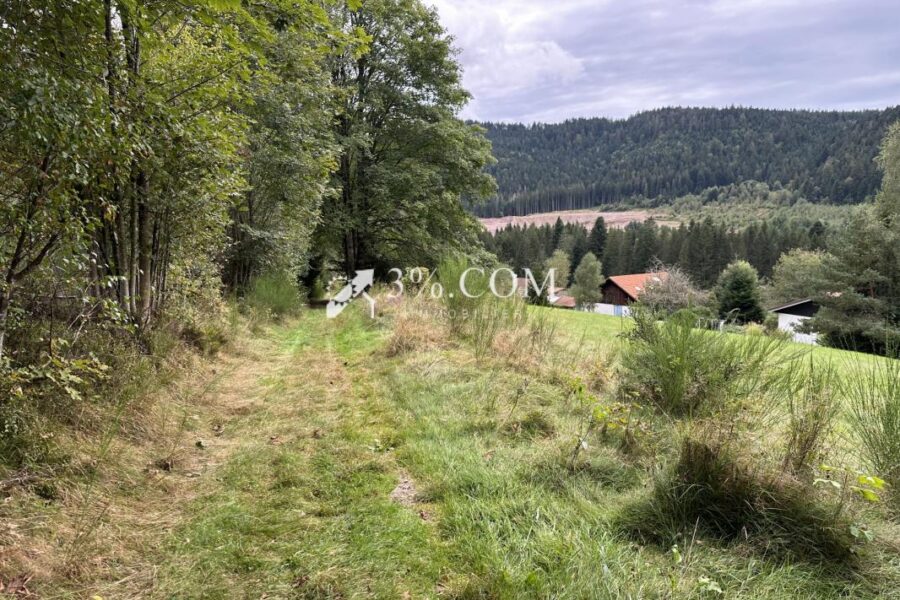 Terrain à vendre à Gerardmer