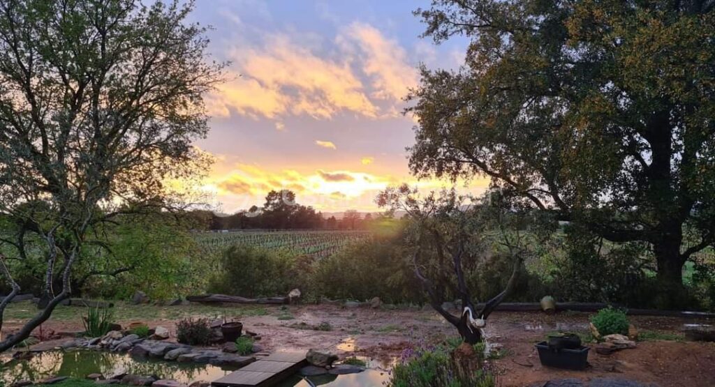 PROPRIÉTÉ D’EXCEPTION AU CŒUR DES VIGNES – LA GARDE-FREINET – 6 pièces – 4 chambres – 162 m²