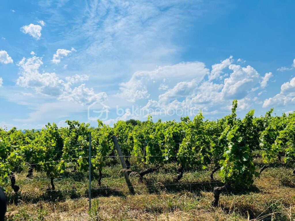 MAISON T3 AVEC TERRASSE – CHARME DES PIERRES DOREES ET DU BOIS – 3 pièces – 2 chambres – 93 m²