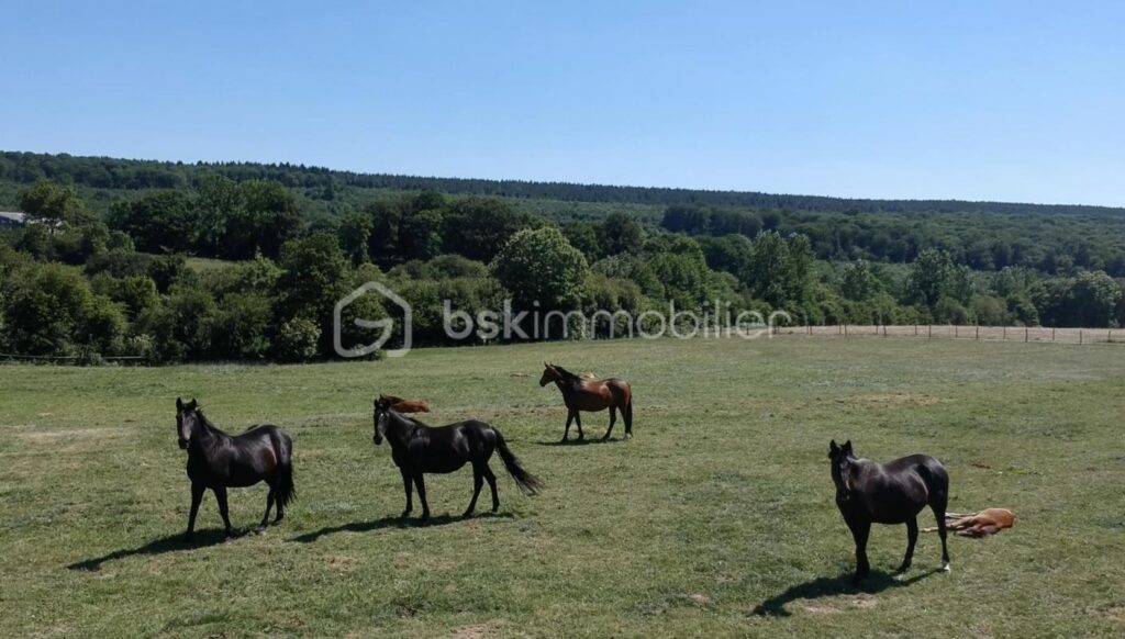 Magnifique propriété avec son exploitation équestre et 37 hectares de terrain – 7 pièces – 4 chambres – 230 m²