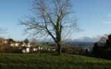 Terrain viabilisé 601 m² avec superbe vue – NR pièces – NR chambres – 601 m²