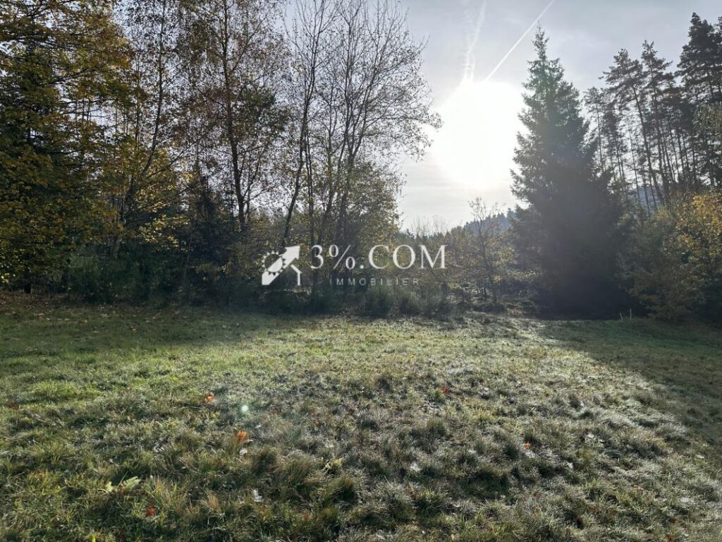 Terrain à bâtir 1800 m2 secteur Gerardmer – NR pièces – NR chambres – 1800 m²