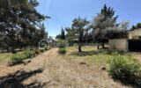 Maison à vendre à Fabrezan — Vue nature — photo 22