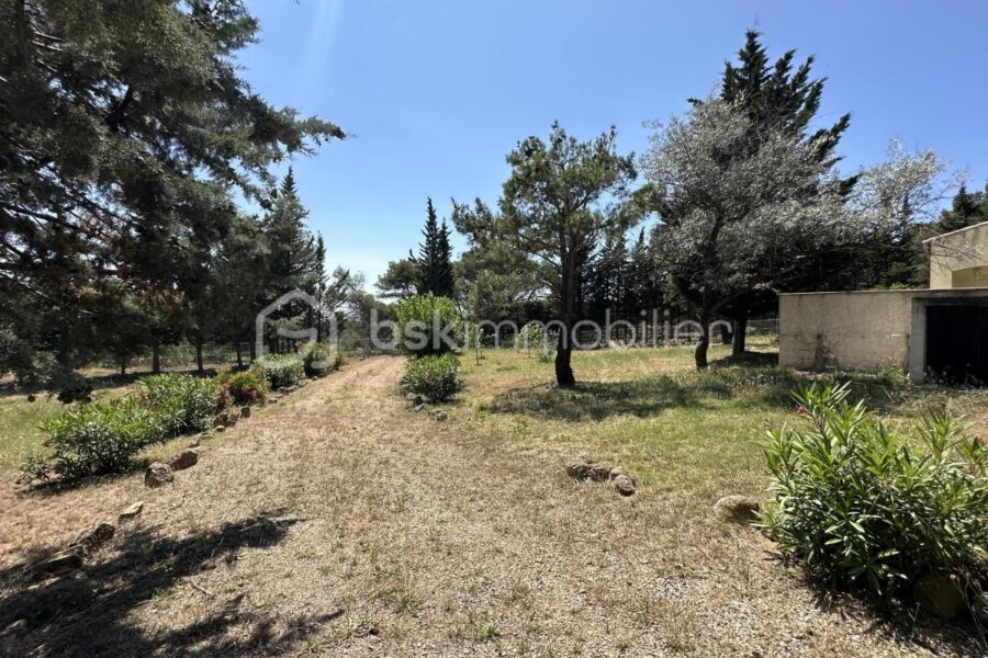 Maison à vendre à Fabrezan — Vue nature — photo 22