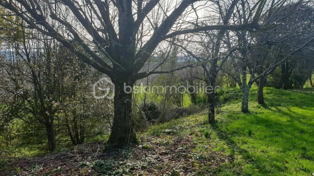 Villa à Marciac vue Pyrénées – 5 pièces – 2 chambres – 128 m²