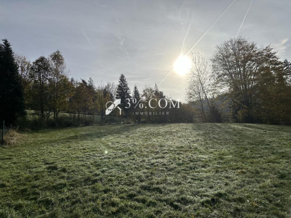 Terrain à bâtir 1800 m2 secteur Gerardmer – NR pièces – NR chambres – 1800 m²