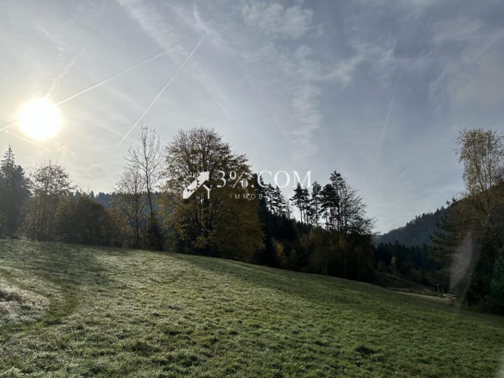 Terrain à bâtir 1800 m2 secteur Gerardmer – NR pièces – NR chambres – 1800 m²