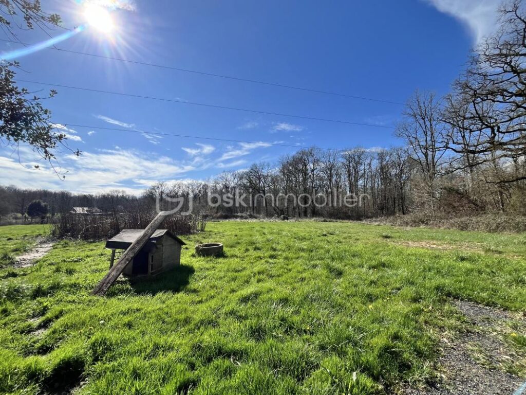 Superbe maison de campagne fraîchement rénovée sur son magnifique terrain au cœur de la forêt – 4 pièces – 2 chambres – 90 m²