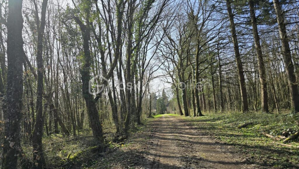 Ensemble immobilier, maison de 178 m², maisonnette, granges, petits toits, terres et étang – 5 pièces – 4 chambres – 178 m²