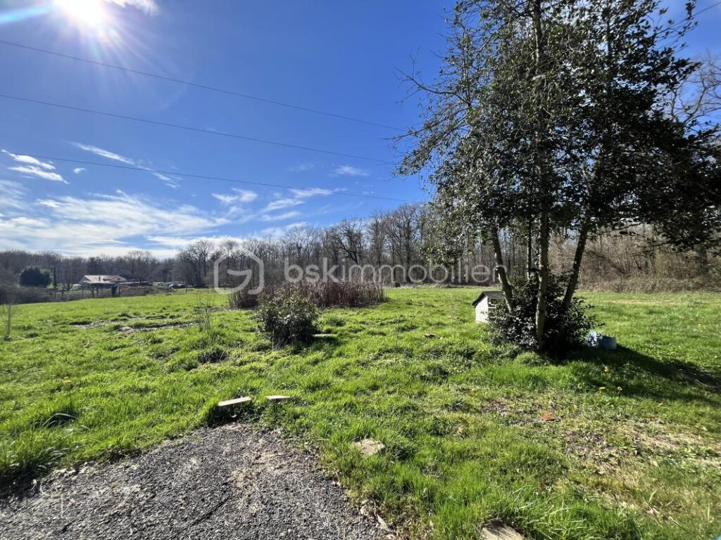 Superbe maison de campagne fraîchement rénovée sur son magnifique terrain au cœur de la forêt – 4 pièces – 2 chambres – 90 m²