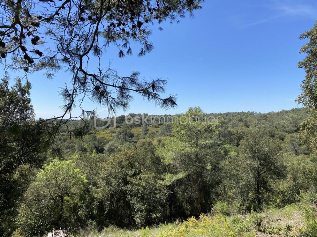 MAISON DE 190 m2-TERRAIN 15199 M2- 4 CHAMBRES-2 SALLES D’EAU-2 WC-PISCINE-GARAGE-ECURIE 33M2 – 7 pièces – 4 chambres – 190 m²