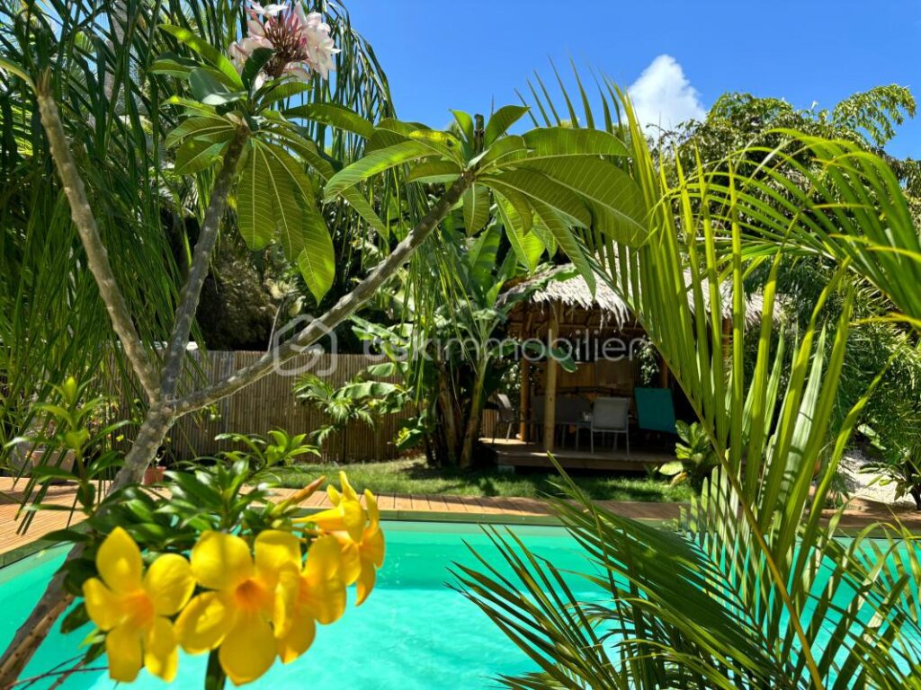 Splendide gîte avec piscine et spas Saint François – 6 pièces – 5 chambres – 170 m²