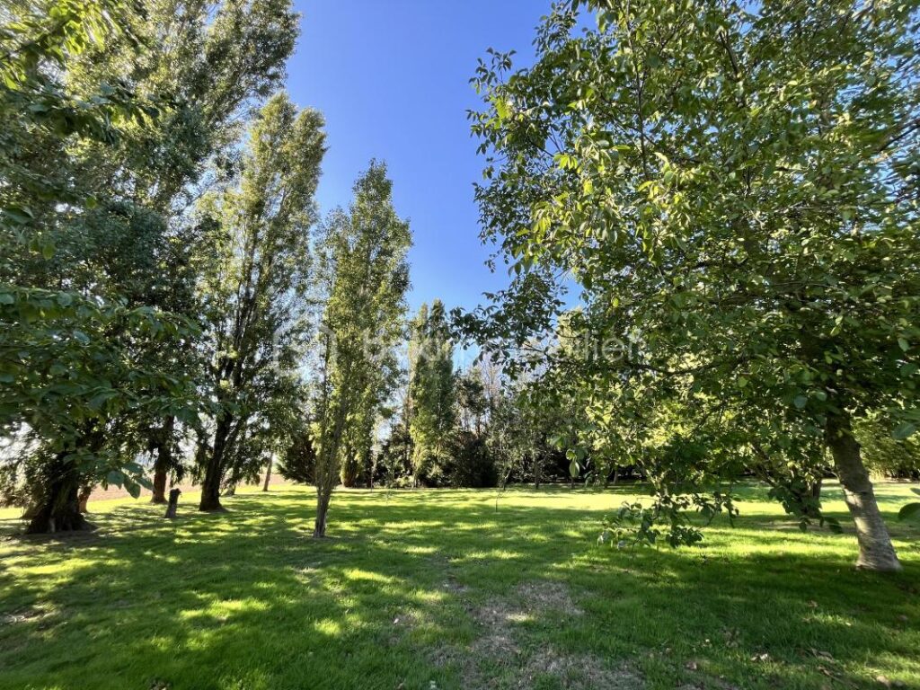 Magnifique maison de caractère sur son splendide parc arboré – 9 pièces – 6 chambres – 258 m²