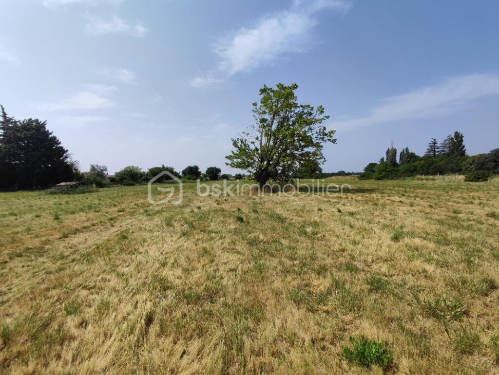 Villa d’architecte avec piscine, garage et plus de 16000km de terrain – 5 pièces – 3 chambres – 150 m²