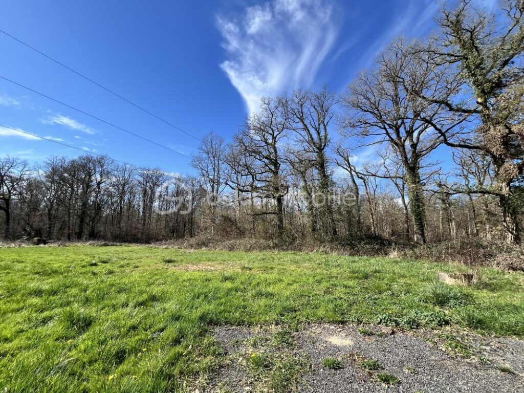 Superbe maison de campagne fraîchement rénovée sur son magnifique terrain au cœur de la forêt – 4 pièces – 2 chambres – 90 m²