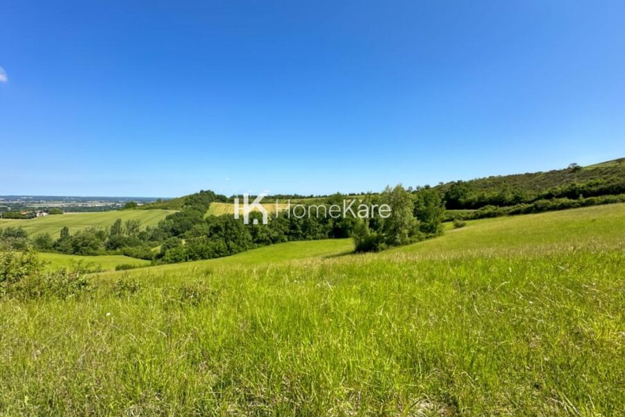 Maison à vendre à Rieux volvestre — Vue nature — photo 26