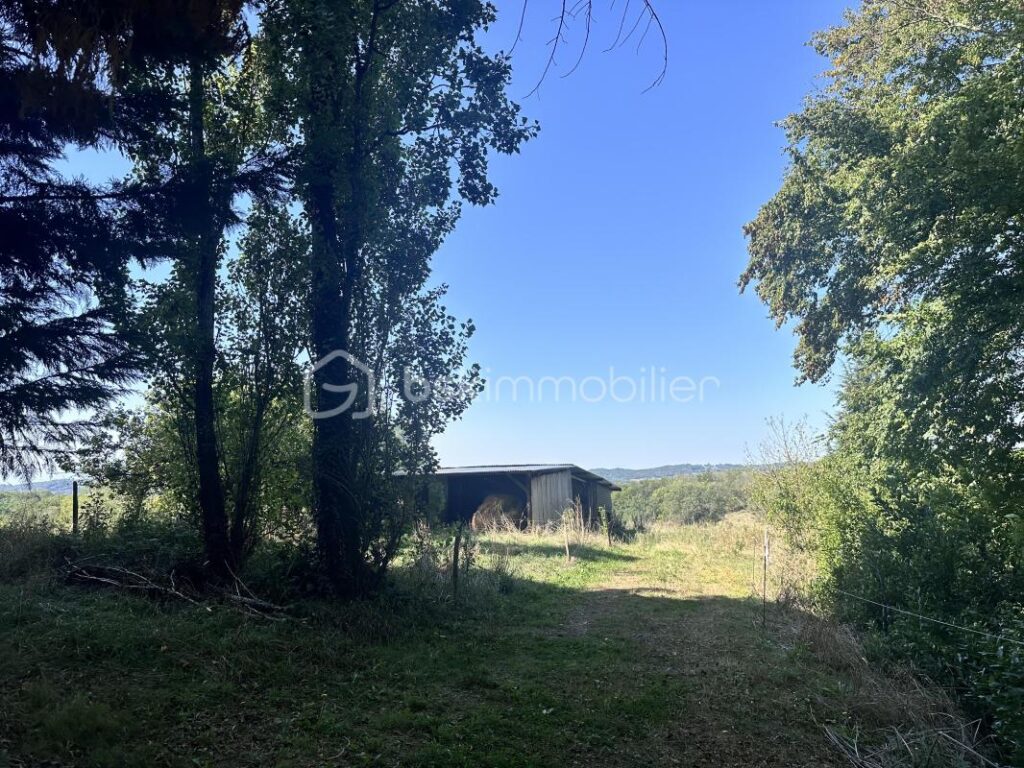 Propriété Gersoise avec deux maisons et 4,5 hectares, idéale pour différents projets – 9 pièces – 3 chambres – 148 m²