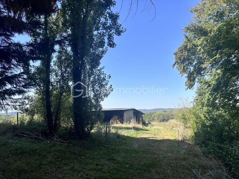 Propriété Gersoise avec deux maisons et 4,5 hectares, idéale pour différents projets – 9 pièces – 3 chambres – 148 m²