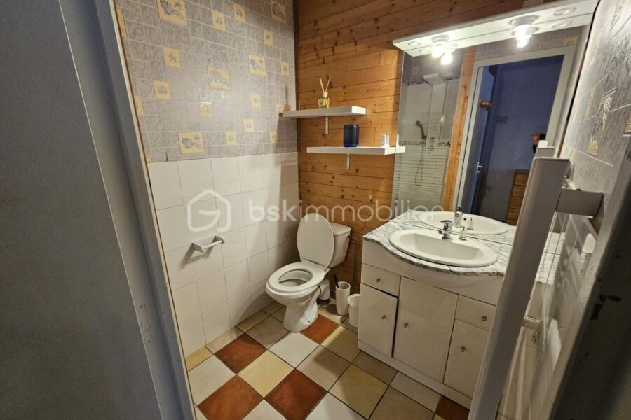 Maison à vendre à Besse et saint anastaise
