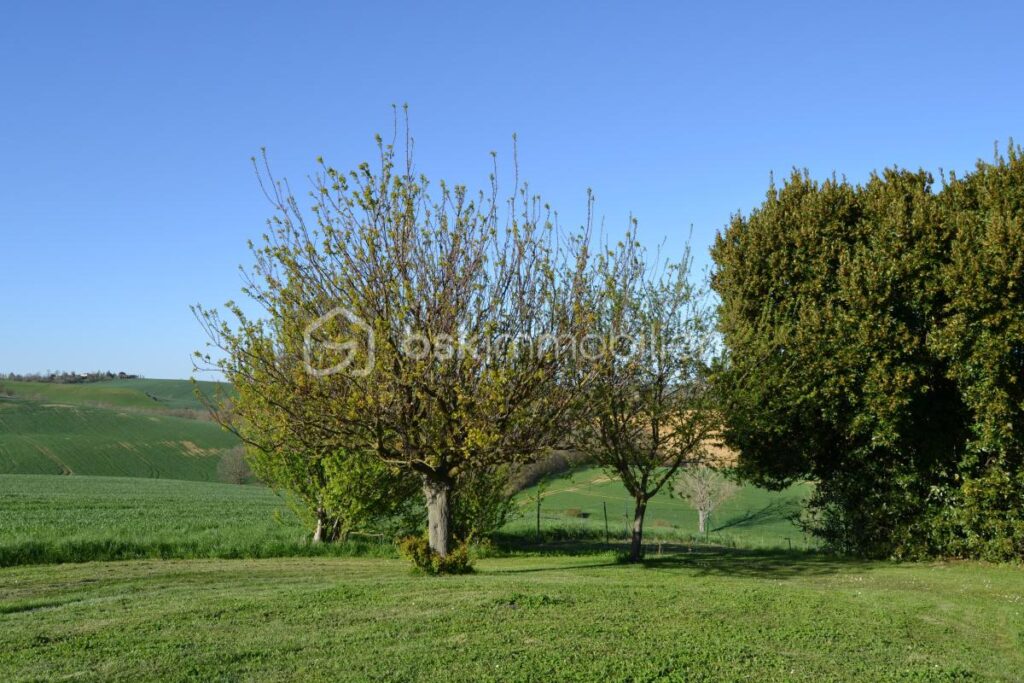 Lauragaise 230 m², piscine, parc et vue dégagée – 7 pièces – 5 chambres – 226 m²