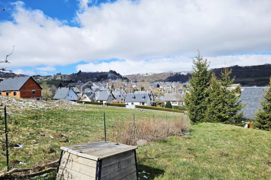 Maison à vendre à Besse et saint anastaise