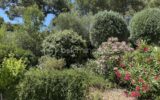 Maison à vendre à Fabrezan — Vue nature — photo 4