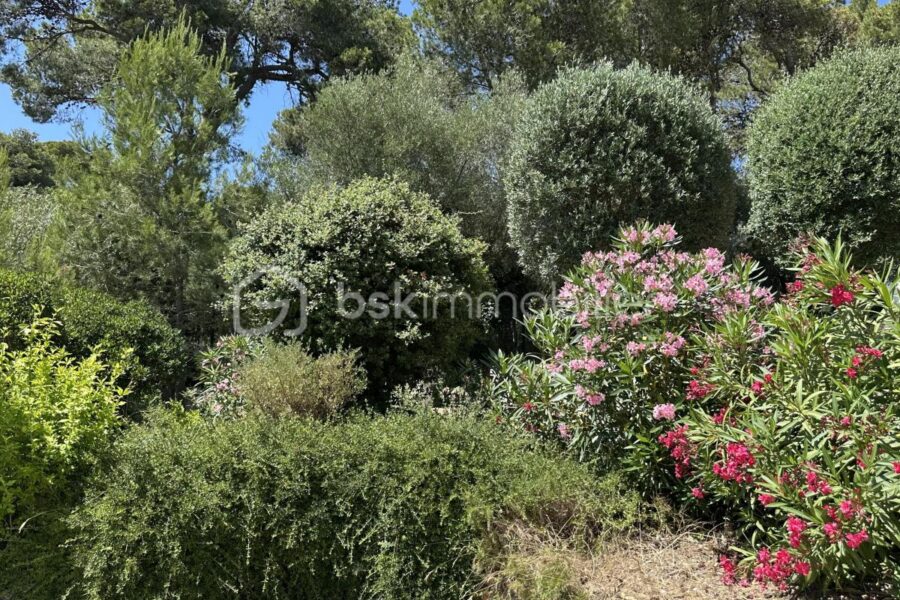 Maison à vendre à Fabrezan — Vue nature — photo 4