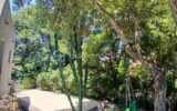 Maison à vendre à La Seyne-sur-Mer — Vue nature — photo 4