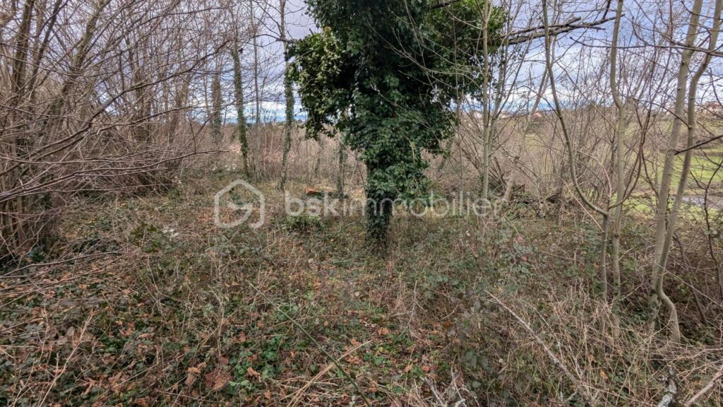 BATIMENT A RENOVER – 1 pièce – 1 chambre – 180 m²