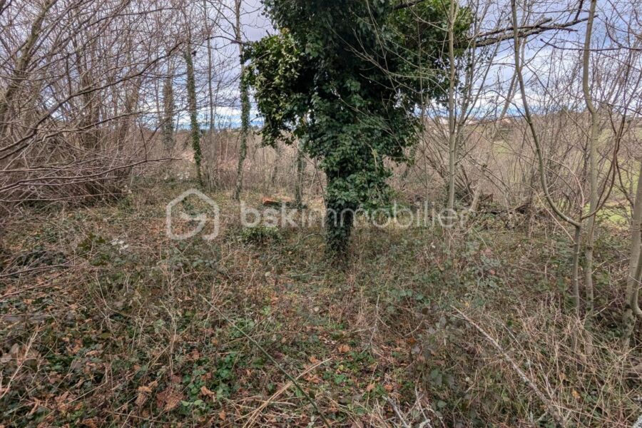 Maison à vendre à Rozier en donzy