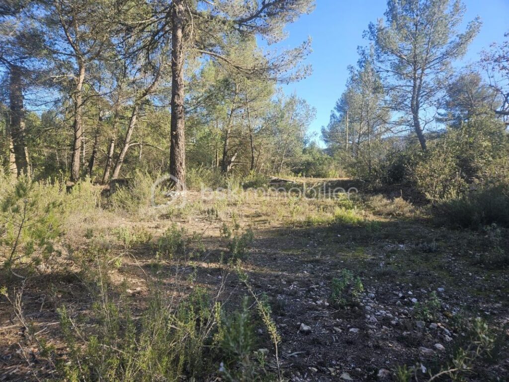 Propriété à rénover dans un cadre exceptionnel – Massif de la Sainte-Baume – 10 pièces – 6 chambres – 220 m²