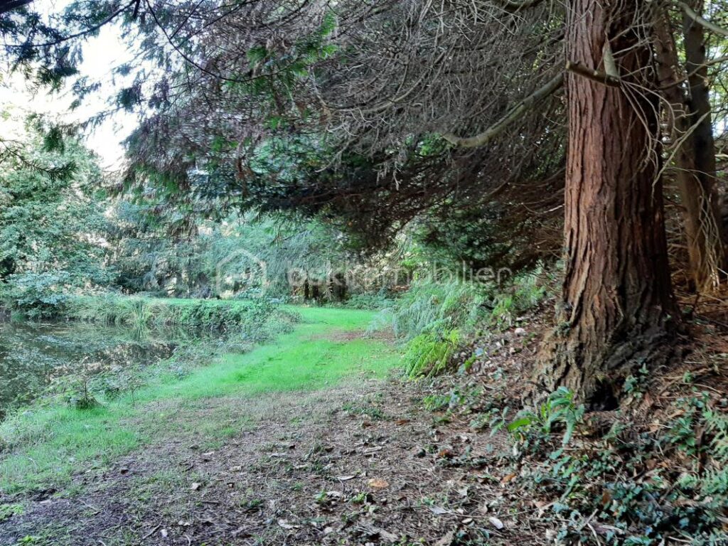 Terrain de loisir 9275 m² – Cognac la Forêt 87310 – NR pièces – NR chambres – 9773 m²
