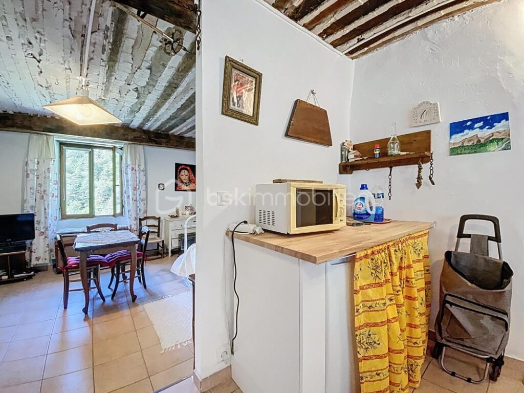 Grand appartement F1 avec coin nuit au cœur du village de Péone (06470) – 1 pièce – 1 chambre – 44 m²