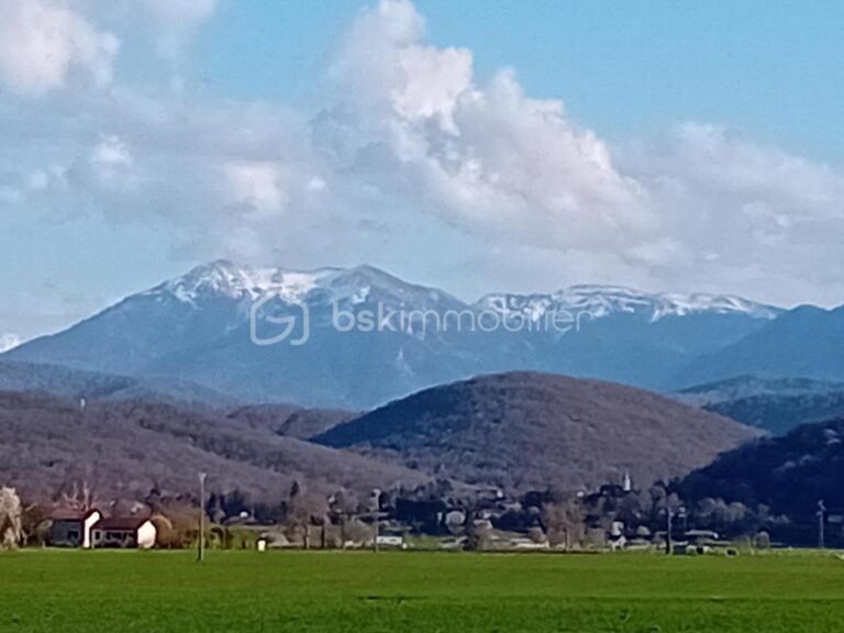 Terrain – NR pièces – NR chambres – 1585 m²