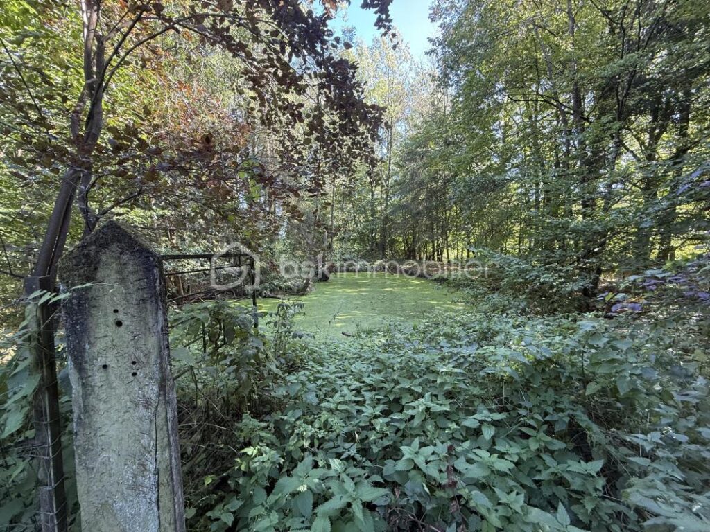 Havre de paix – 8 pièces – 4 chambres – 192 m²