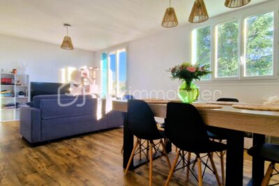 À vendre – T3/F4 meublé,rénové, traversant, plein sud – Vue Pyrénées – 4 pièces – 2 chambres – 72 m²