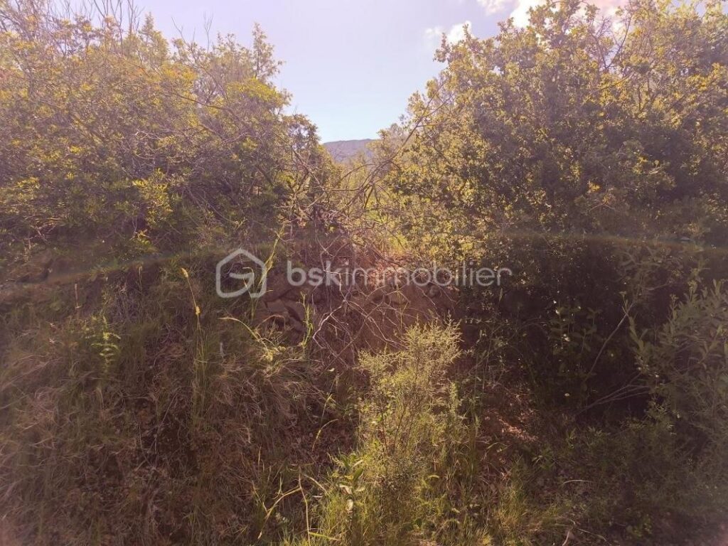 Terrain Agricole à Tautavel – 12 410 m² en Nature de Vigne en Friche – NR pièces – NR chambres – 12490 m²